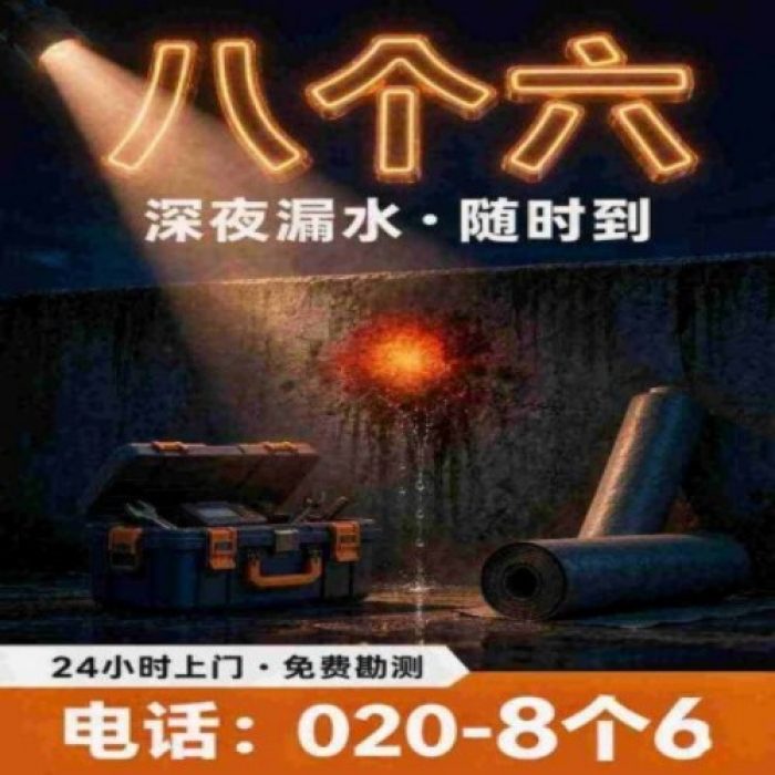 八个六防水补漏 · 漏水检测（示意）