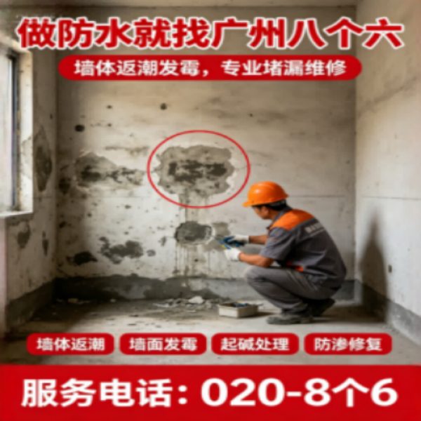 八个六防水补漏品牌宣传图